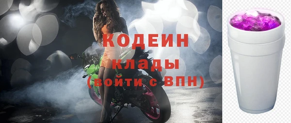 молекула духа Ветлуга