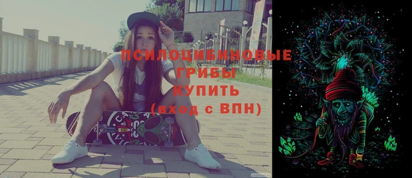 ALPHA PVP Ельня