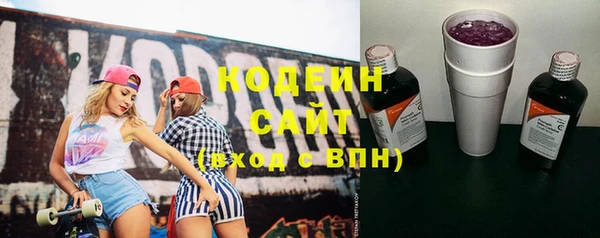 ALPHA PVP Ельня