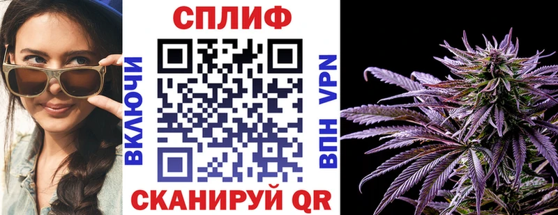 Шишки марихуана индика Зубцов